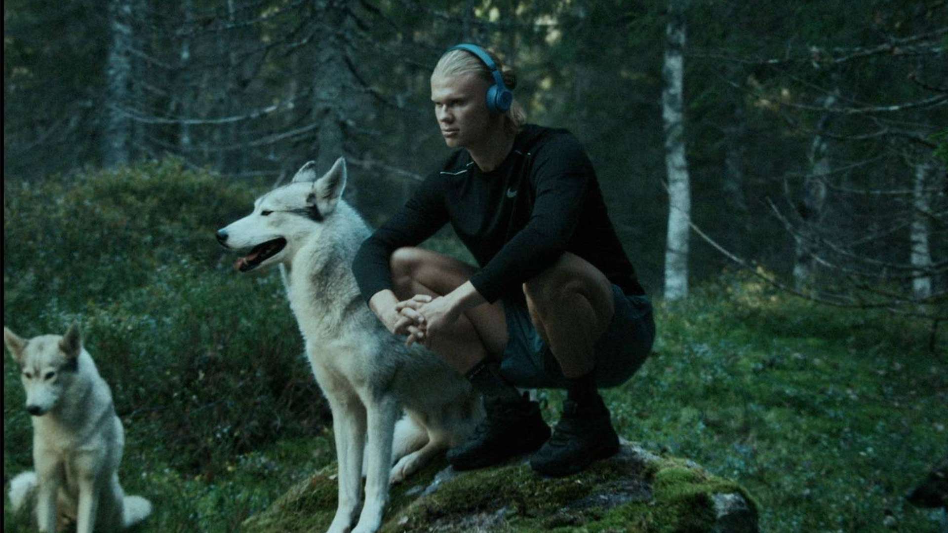 过于迅速的 过于迅速的