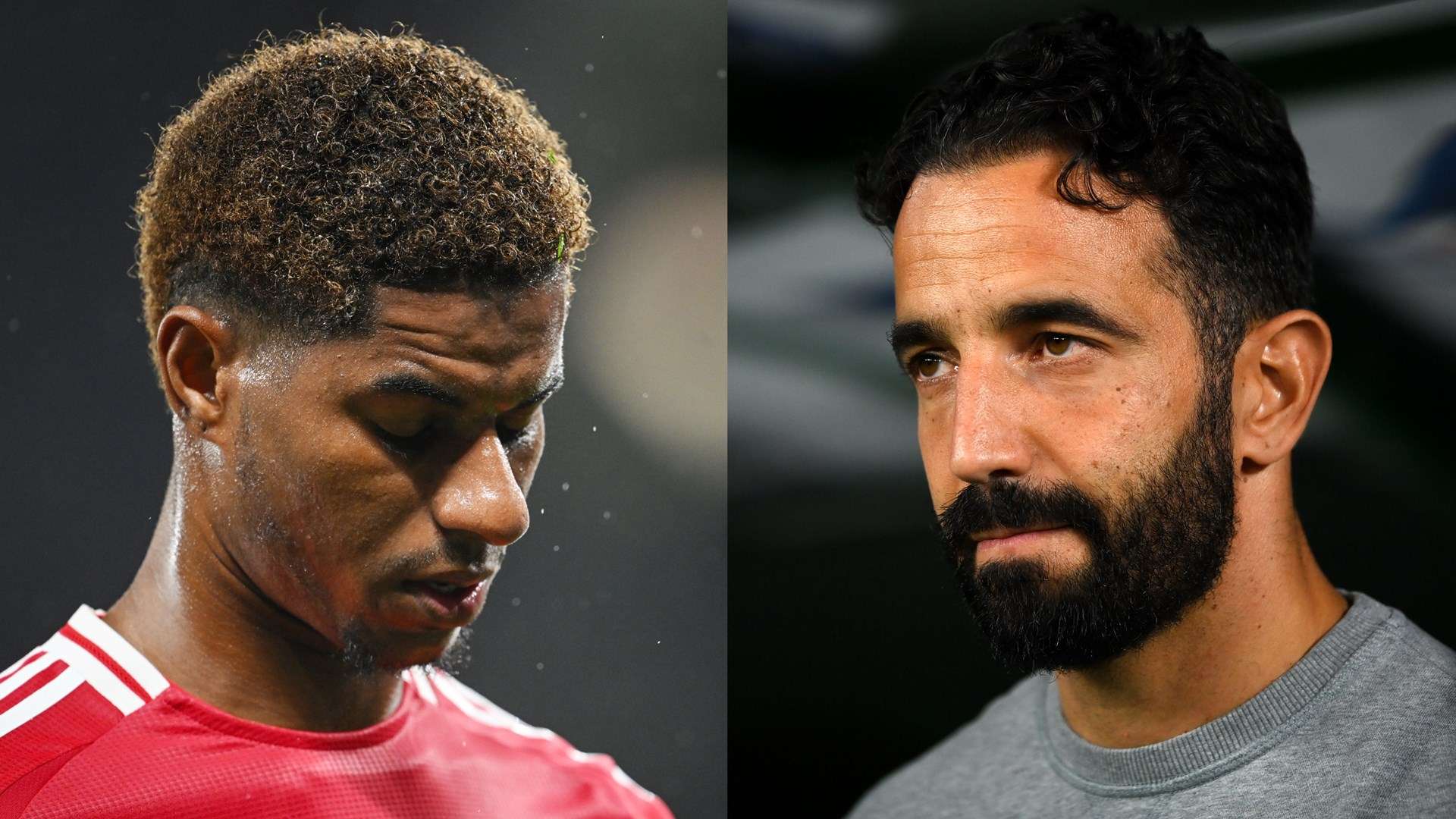 更是他职业 更是他职业