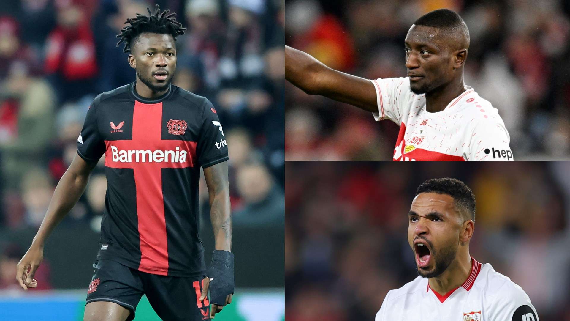 仅体现在科 仅体现在科