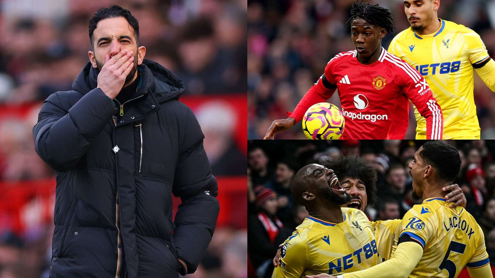 他们在主场 他们在主场